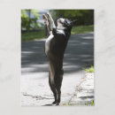 Search for loyalty vertical postcards Full length