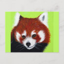 Recherche de peinture de panda cartes postales Rouge