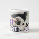 Search for frenchie mugs Pets