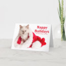 Recherche de chats habillés noël cartes Image de couleur