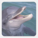 Search for bottlenose stickers Marine