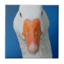 Search for goose tiles Farm
