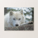 Search for arctic puzzles Wolf