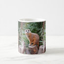 Search for meerkats mugs Zoo