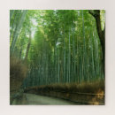 Search for bamboo puzzles Forest
