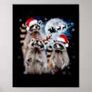 Search for funny raccoon posters President