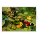 Recherche de insect birthday Floral