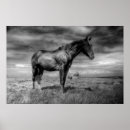 Recherche de ciel sombre art Nature