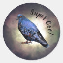 Recherche de gris colombe autocollants Oiseau