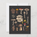 Search for fly agaric postcards Forest