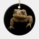 Search for toad ornaments Nature