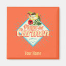 Recherche de plage des caraïbes magnets Mexique