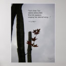 Recherche de maple tree posters Trees