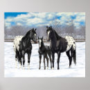 Search for black horse posters Western
