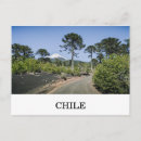 Recherche de puzzle cartes postales Amérique