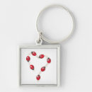 Search for lady beetles keychains Insect