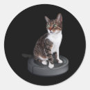 Recherche de cat animal stickers Chat noir