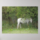 Recherche de timide posters Animaux