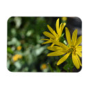 Recherche de gerbera magnets Fleur