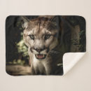 Search for puma blankets Mountain lion