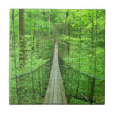 Search for bridge tiles Nature