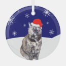 Search for tortoiseshell cat ornaments Pet