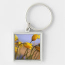 Search for marion keychains Nobody