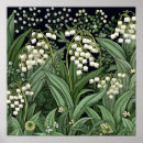 Search for lily of the valley art Flowers