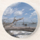 Search for driftwood coasters Beach