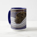 Recherche de chocolate labrador retriever mugs Mignon