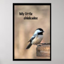 Search for chickadee art Black capped