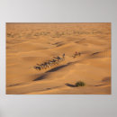 Recherche de tunisien posters Désert