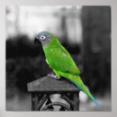 Search for head posters Green
