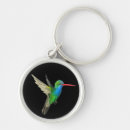 Search for hummingbird keychains Illustration