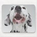 Search for aggressive standard mousepads Danger
