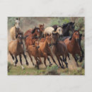 Recherche de cheval de cowboy cartes postales Pour elle