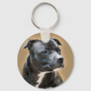 Search for staffies keychains Bull
