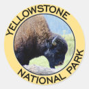 Search for yellowstone stickers Old faithful