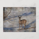 Recherche de saboteur cartes postales Nature