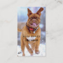 Recherche de image de chien cartes visite Pour animaux