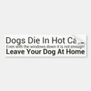 Search for dog hot bumper stickers Car