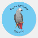 Search for cartoon parrot stickers Cute