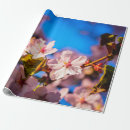 Search for cherry blossom branch wrapping paper Nature