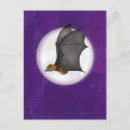 Search for baby bat postcards Moon