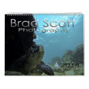 Search for turtle calendars Underwater