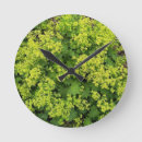 Search for ivy clocks Foliage