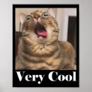 Search for meme posters Viral