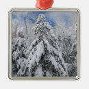 Search for wintry ornaments Snow