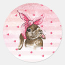 Search for paint stripes stickers Pink