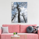 Search for cloudy canvas prints Photography